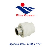 Пластиковая труба и фитинги Муфта МРН Blue Ocean D20х1/2